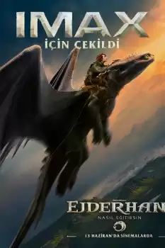 Ejderhanı Nasıl Eğitirsin